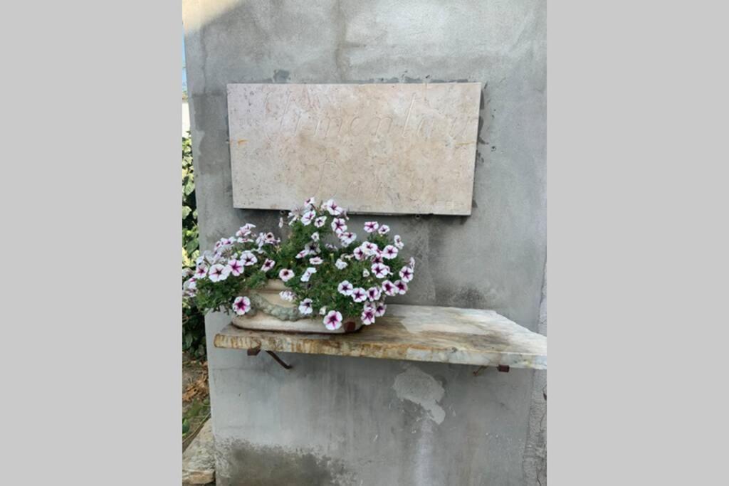 Apartamento Antica Casa Nel Borgo Pietrasanta Exterior foto